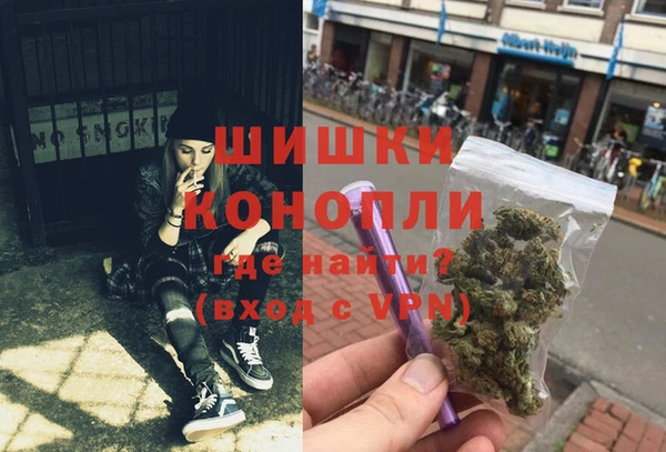 крисы Заводоуковск