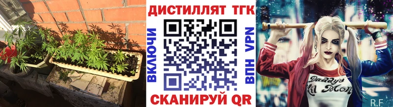 Купить где  Саяногорск  ТГК вейп 